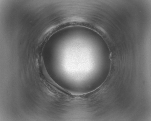 X0000054471112200508121956