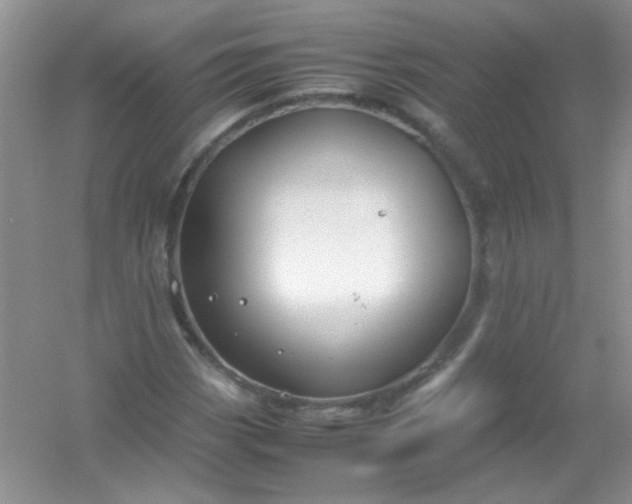 X0000054471113200508121956