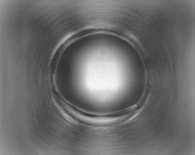 X0000054471114200508121956