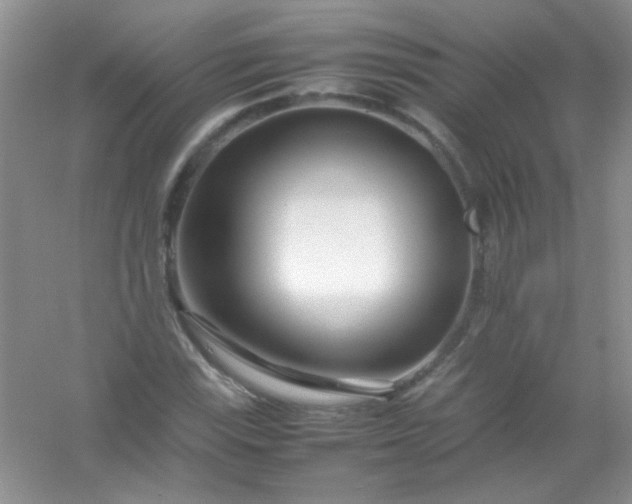 X0000054471115200508121956