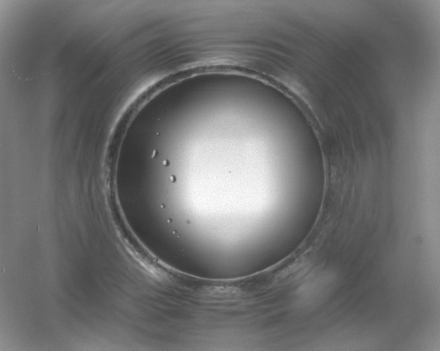 X0000054471119200508121956