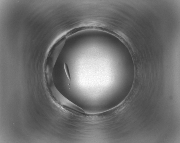 X0000054471120200508121956