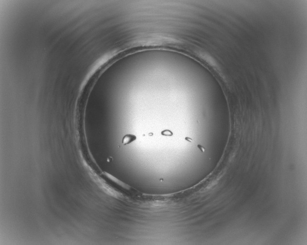 X0000054471122200508121956