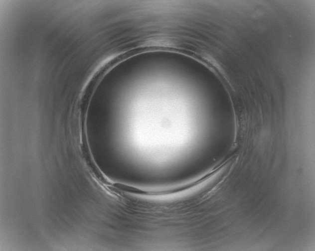 X0000054471123200508121956