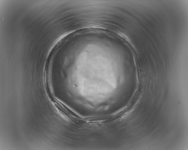 X0000054471125200508121956