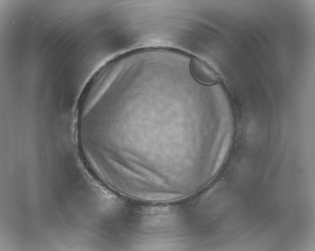 X0000054471126200508121956