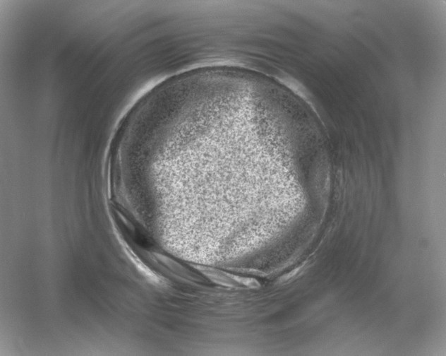 X0000054471127200508121956