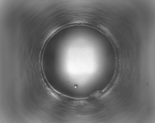 X0000054471129200508121956