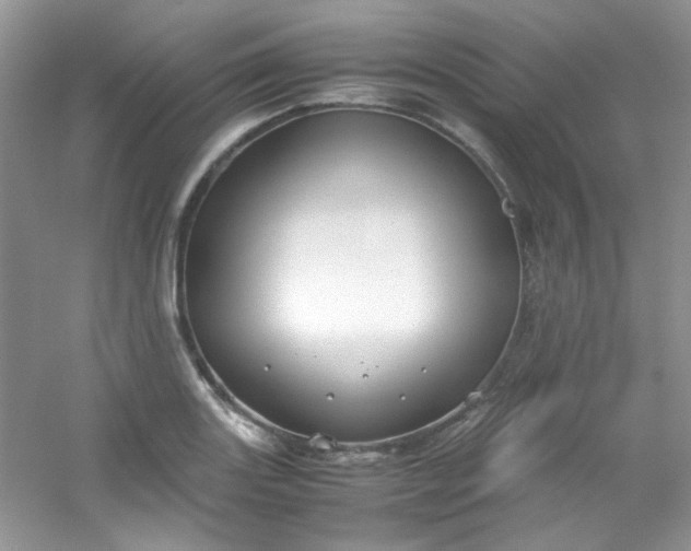 X0000054471131200508121956