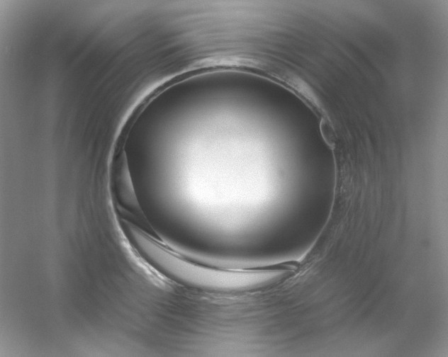 X0000054471132200508121956