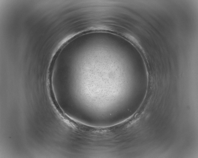 X0000054471133200508121956