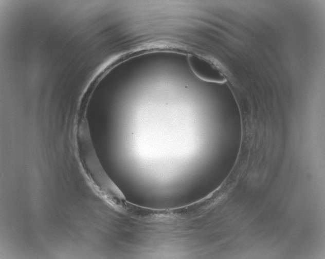 X0000054471134200508121956