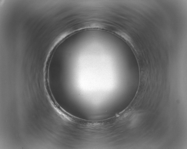 X0000054471135200508121956