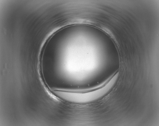 X0000054471136200508121956