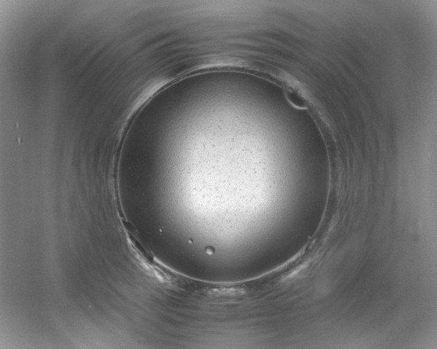 X0000054471137200508121956