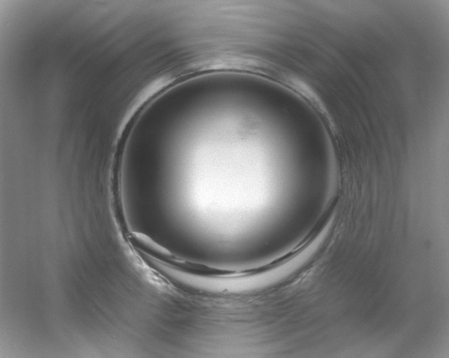 X0000054471138200508121956