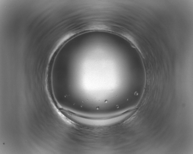 X0000054471139200508121956