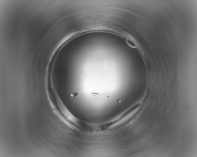 X0000054471142200508121956