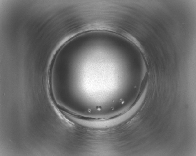 X0000054471144200508121957