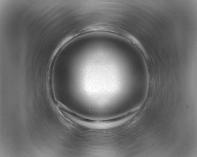 X0000054471146200508121957