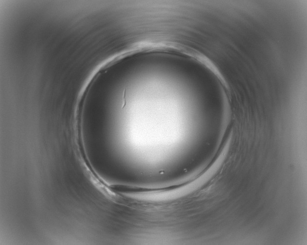 X0000054471148200508121957