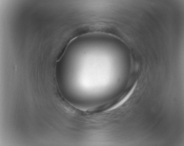 X0000054471153200508121956