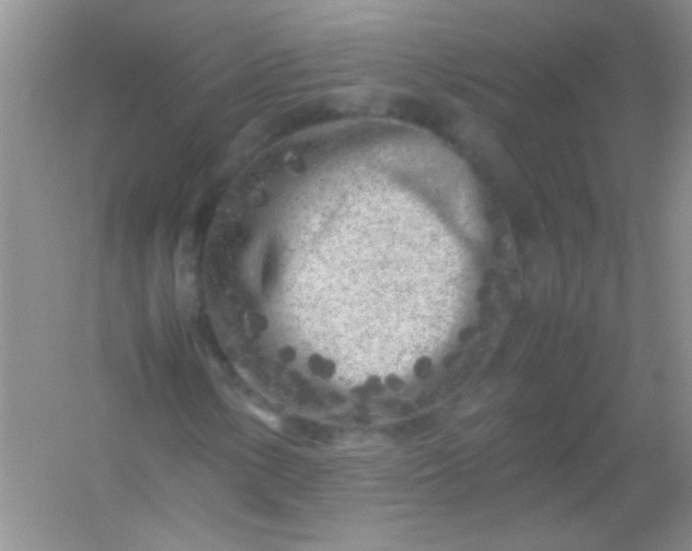 X0000054471154200508121956