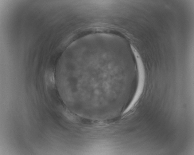 X0000054471155200508121956