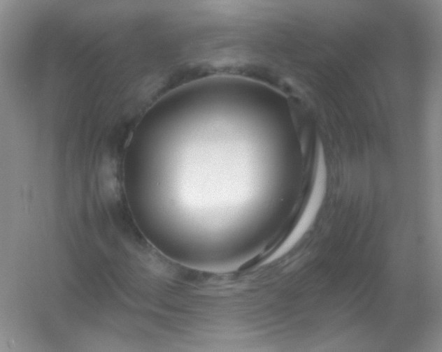 X0000054471156200508121956