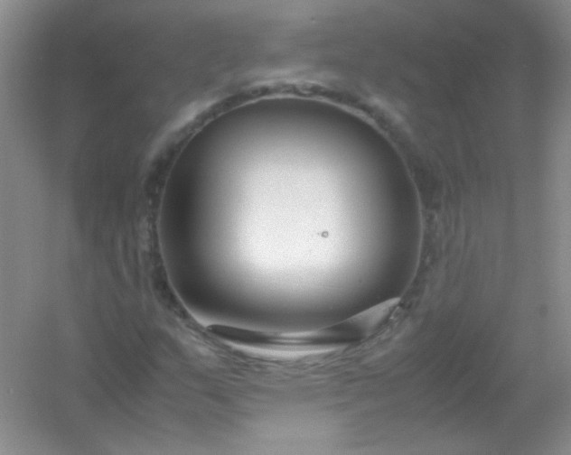 X0000054471159200508121956