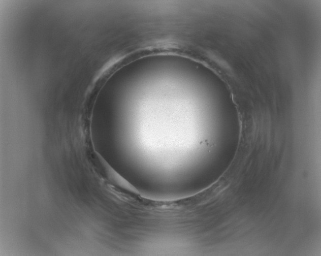 X0000054471160200508121956