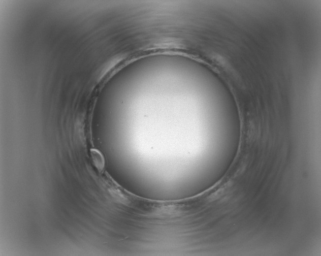 X0000054471162200508121956