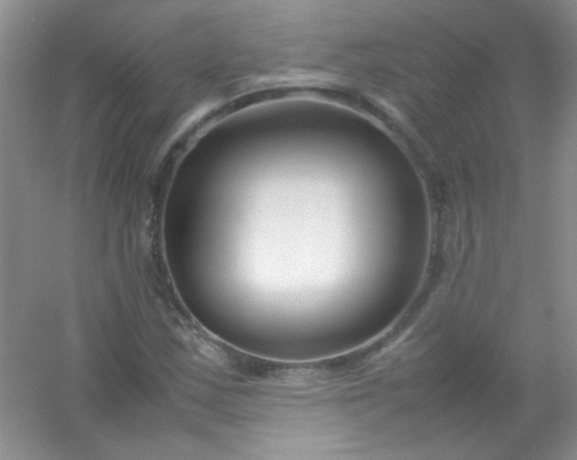 X0000054471163200508121956