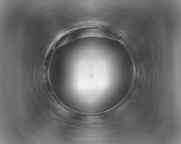 X0000054471164200508121956