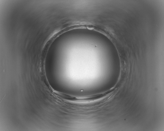 X0000054471165200508121956