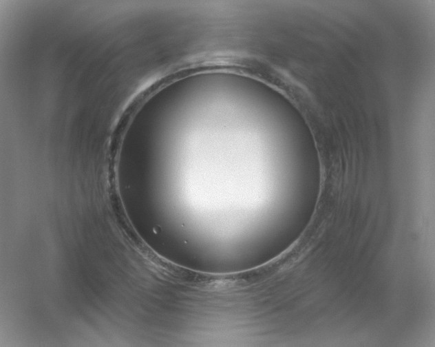 X0000054471166200508121956