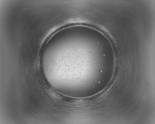 X0000054471167200508121956