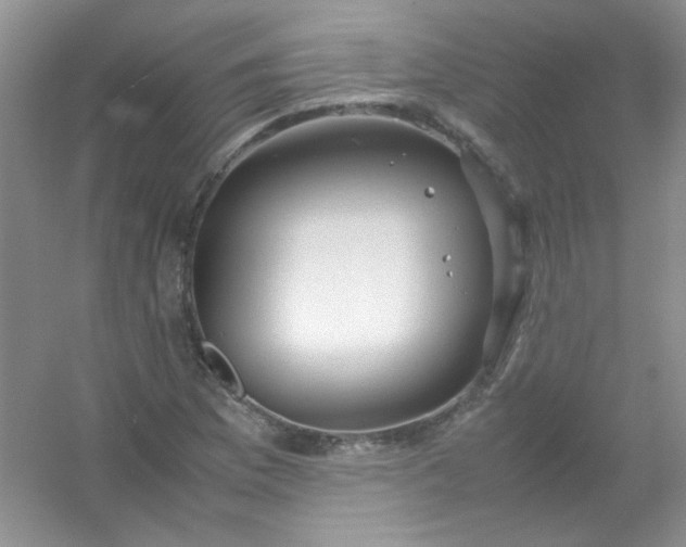 X0000054471169200508121956