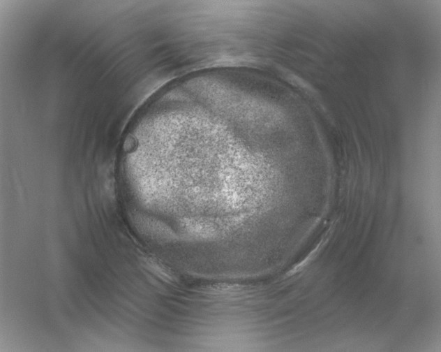 X0000054471170200508121956