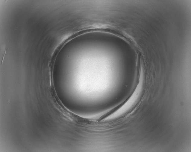 X0000054471171200508121956