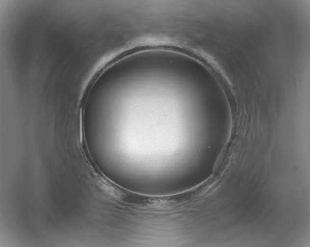X0000054471175200508121955
