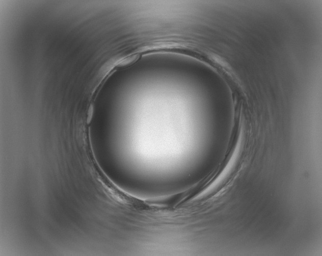 X0000054471177200508121955
