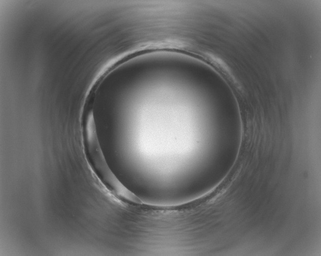 X0000054471184200508121955