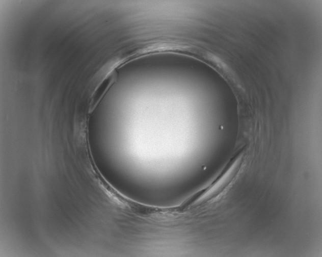 X0000054471185200508121955