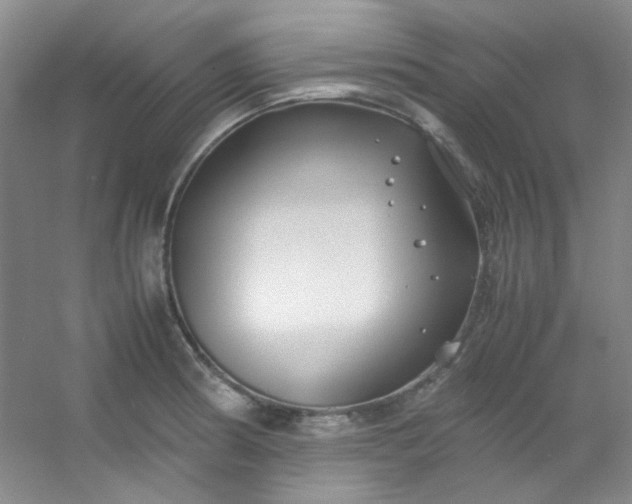 X0000054471186200508121955