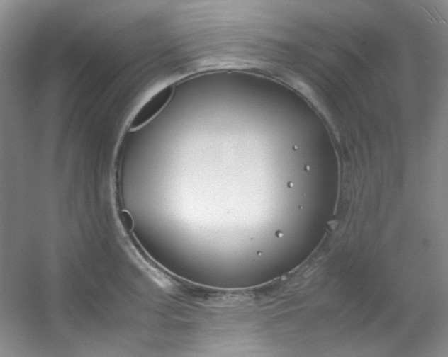 X0000054471187200508121955