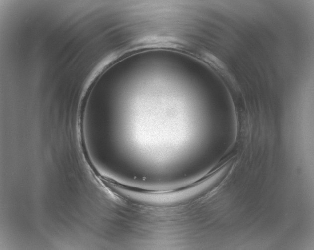 X0000054471188200508121955
