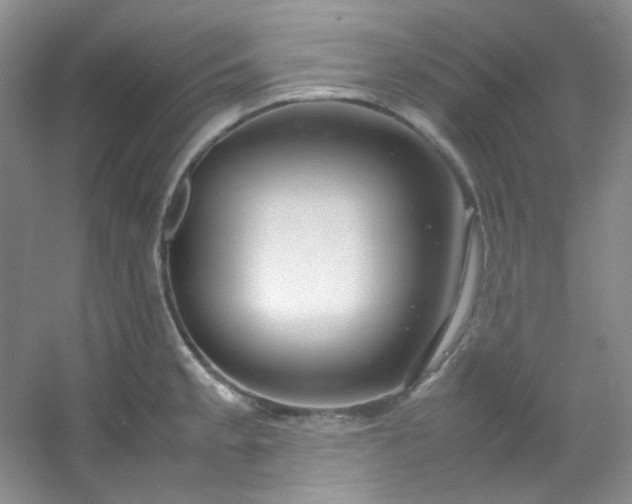 X0000054471189200508121955