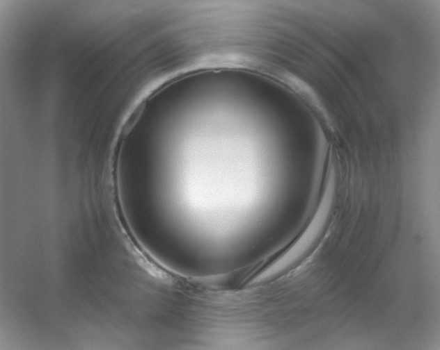 X0000054471192200508121955