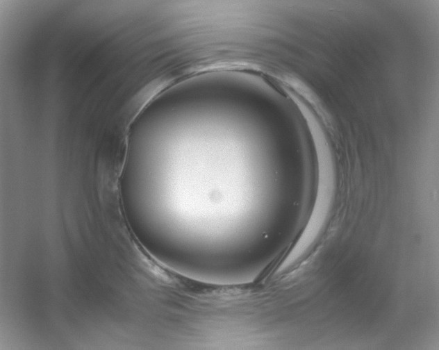 X0000054471193200508121955
